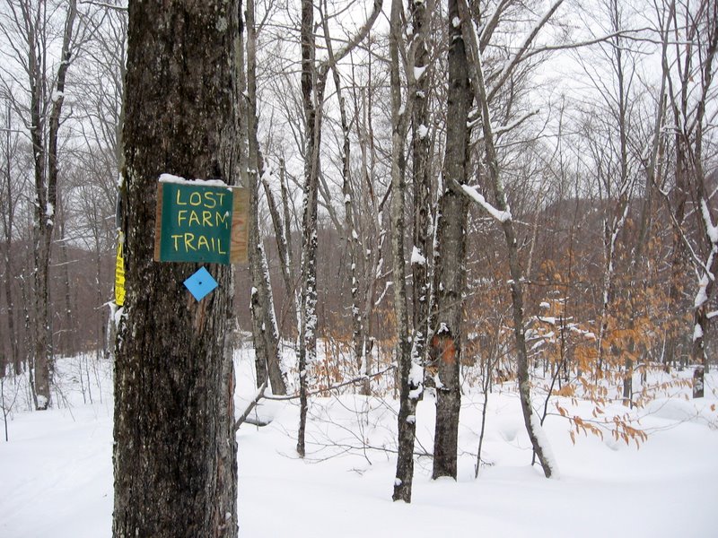 Camel's Hump Nordic Ski Area Trail Finder
